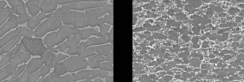 Failure Analysis Begins With an Examination of the Microstructure